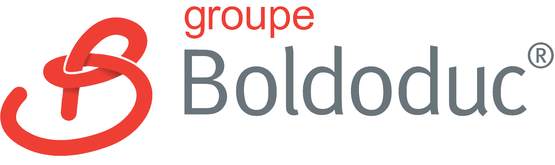 Logo-adherent-Boldoduc